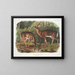 Virginie Deer, male and female aged - John Woodhouse Audubon — framed artwork on a wall