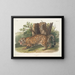 Jaguar female - John Woodhouse Audubon — framed artwork on a wall