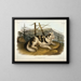 Indian Hare Dog - John Woodhouse Audubon — framed artwork on a wall