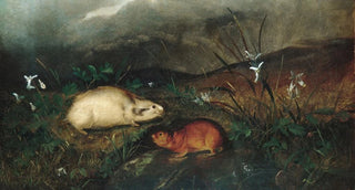 Hudson Bay Lemming - John Woodhouse Audubon — artwork view
