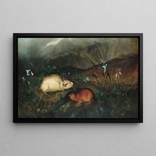Hudson Bay Lemming - John Woodhouse Audubon — framed artwork on a wall