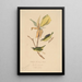 Kentucky Gold-winged Warbler - John Woodhouse Audubon — framed artwork on a wall