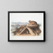 Lagomys princeps Petit lièvre chef Taille naturelle - John Woodhouse Audubon — framed artwork on a wall