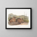 Hare of Bachman life-size - John Woodhouse Audubon — framed artwork on a wall