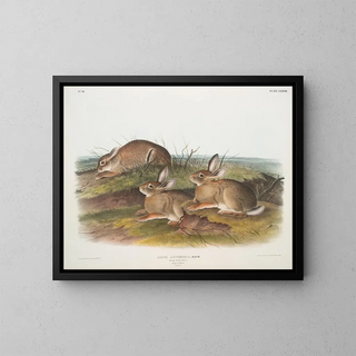 Hare Artemisia, wooden hare in warm wood, male and female, life size - John Woodhouse Audubon — framed artwork on a wall