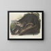 Canadian Otter size reproduction - John Woodhouse Audubon — framed artwork on a wall