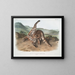 Lynx roux var. maculatus femelle du Texas - John Woodhouse Audubon — framed artwork on a wall