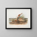 Mouse orange Mus aureolus size natural - John Woodhouse Audubon — framed artwork on a wall