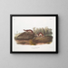 American Fouine Painting - John Woodhouse Audubon — framed artwork on a wall