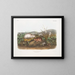 Lemming de la baie d'Hudson à taille naturelle - John Woodhouse Audubon — framed artwork on a wall