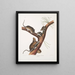 Neotoma Floridana Florida rat Natural size Male female and young of different ages - John Woodhouse Audubon — framed artwork on a wall