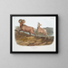 Mountain sheep male and female - John Woodhouse Audubon — framed artwork on a wall
