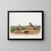 Pseudostoma borealis, the Camas rat, male, female, juvenile, natural size - John Woodhouse Audubon — framed artwork on a wall