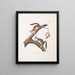 Squirrel velu Sciurus laniginosus, taille naturelle - John Woodhouse Audubon — framed artwork on a wall