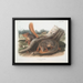 Natural-sized Squirrel Painting - John Woodhouse Audubon — framed artwork on a wall