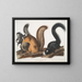 Squirrel of Fox at life size - John Woodhouse Audubon — framed artwork on a wall