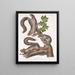 Sciurus migratorius Squirrel migrator Size: 1 Old Male 2 Females 3 Juveniles - John Woodhouse Audubon — framed artwork on a wall