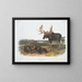 Serviteur des élans - John Woodhouse Audubon — framed artwork on a wall