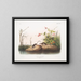 Sorex palustris, American water shrew, life size - John Woodhouse Audubon — framed artwork on a wall