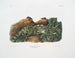 Sorex parvus, the eastern shrew, life size - John Woodhouse Audubon — artwork view