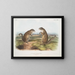 Marmotte de Franklin mâle et femelle à taille naturelle - John Woodhouse Audubon — framed artwork on a wall