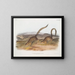 Spermophile annelé taille naturelle - John Woodhouse Audubon — framed artwork on a wall