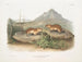 Spermophile tacheté, écureuil marmotte de Californie, taille naturelle - John Woodhouse Audubon — artwork view