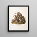 Tamias lysterii Chipping Squirrel Hackee c Taille naturelle Mâle Femelle et Jeune Premier Automne - John Woodhouse Audubon — framed artwork on a wall