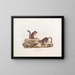 Squirrel terrestre de Townsend taille naturelle - John Woodhouse Audubon — framed artwork on a wall