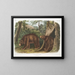 the American Black Bear, cinnamon variety, male and female - John Woodhouse Audubon — framed artwork on a wall
