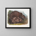 Grizzly Bear Male - John Woodhouse Audubon — framed artwork on a wall