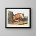 Red Fox American Male - John Woodhouse Audubon — framed artwork on a wall