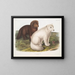 Arctic fox painting in winter and summer - John Woodhouse Audubon — framed artwork on a wall