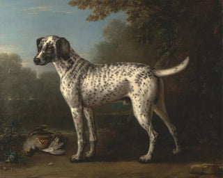 A gray-spotted greyhound - John Wootton — artwork view