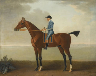 The Lady O'Brien's horse ridden by a jockey - John Wootton — artwork view