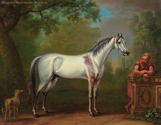 L'Arabien au cou ensanglanté - John Wootton — artwork view