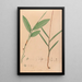 Iconography of Brazilian orchids Pl02 - João Barbosa Rodrigues — framed artwork on a wall