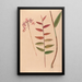 Iconography of Brazilian orchids Pl30 - João Barbosa Rodrigues — framed artwork on a wall
