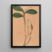 Iconographie des orchidées du Brésil Pl31 - João Barbosa Rodrigues — framed artwork on a wall