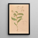 Iconography of Brazilian orchids Painting Pl33 - João Barbosa Rodrigues — framed artwork on a wall