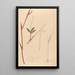Iconography of Brazilian orchids painting Pl39 - João Barbosa Rodrigues — framed artwork on a wall