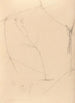Iconography of the orchids of Brazil Pl41 - João Barbosa Rodrigues — artwork view