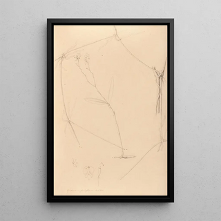 Iconography of the orchids of Brazil Pl41 - João Barbosa Rodrigues — framed artwork on a wall