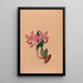 Iconography of Brazilian orchids Pl45 - João Barbosa Rodrigues — framed artwork on a wall
