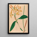 Iconography of Brazilian orchids Pl46 - João Barbosa Rodrigues — framed artwork on a wall