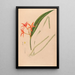 Iconography of Brazilian orchids Painting Pl53 - João Barbosa Rodrigues — framed artwork on a wall