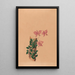 Iconographie des orchidées du Brésil Pl54 - João Barbosa Rodrigues — framed artwork on a wall