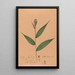 Iconography of Brazilian orchids Painting Pl57 - João Barbosa Rodrigues — framed artwork on a wall