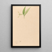 Iconography of Brazilian orchids Pl59 - João Barbosa Rodrigues — framed artwork on a wall