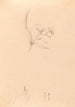 Iconography of Brazilian orchids Pl60 - João Barbosa Rodrigues — artwork view